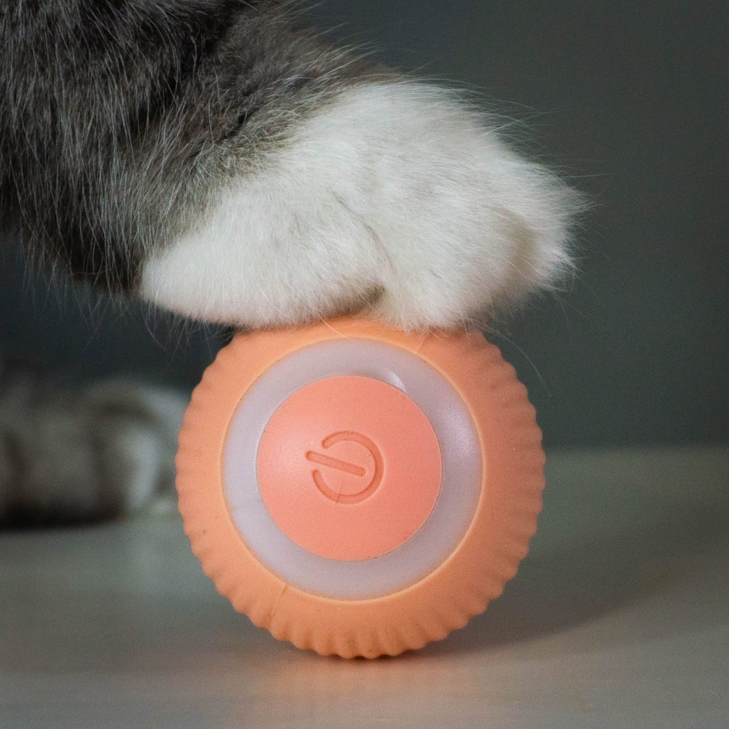 FurTastic Play Ball