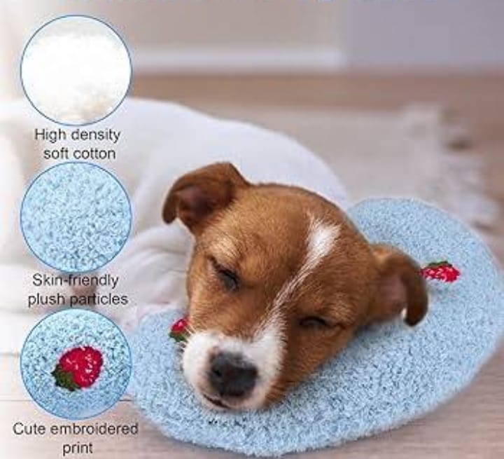 MoonRest Pillow