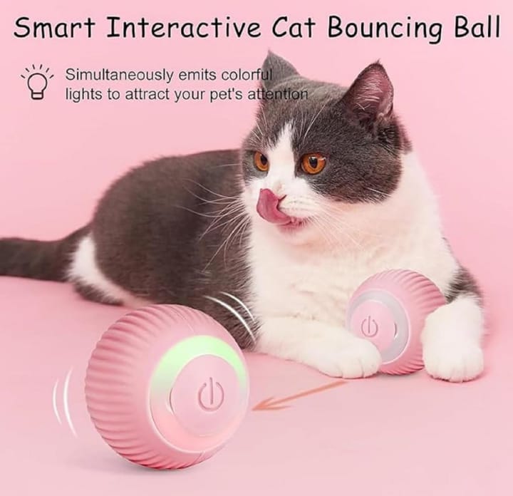 FurTastic Play Ball