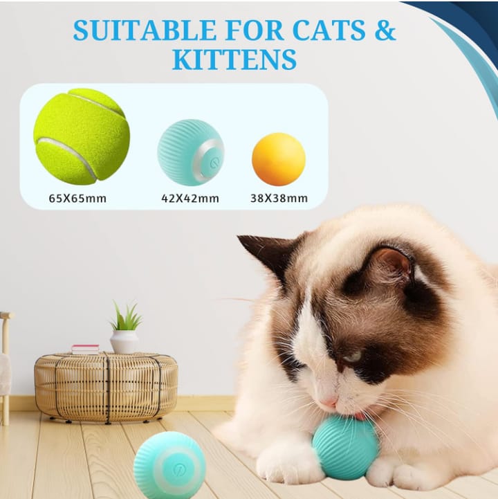 FurTastic Play Ball