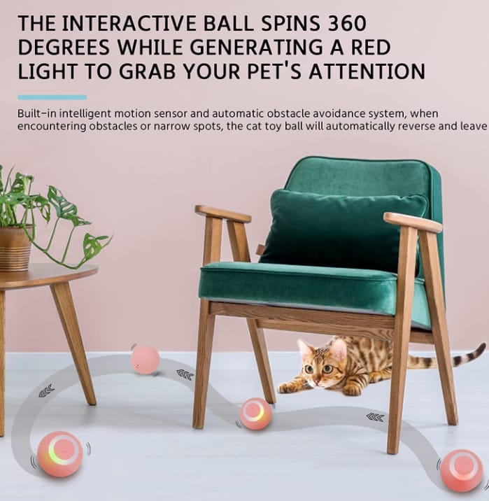 FurTastic Play Ball