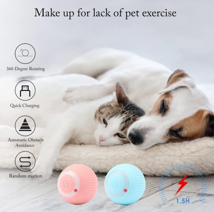 FurTastic Play Ball