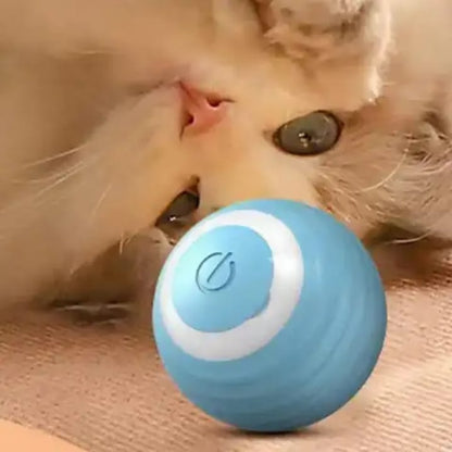 FurTastic Play Ball