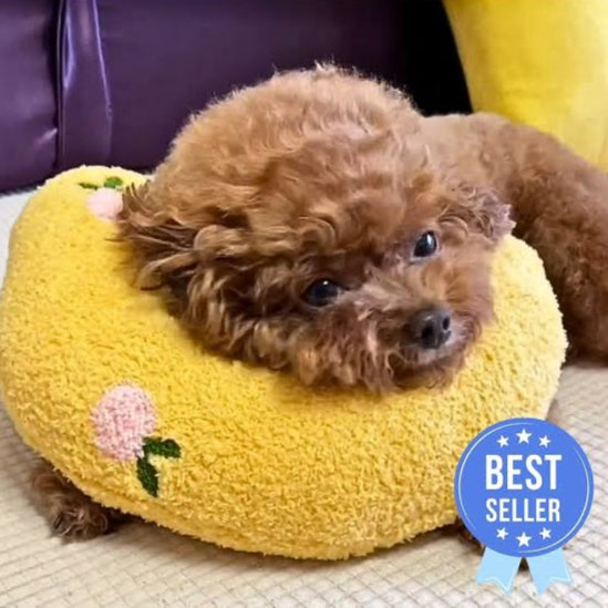 MoonRest Pillow