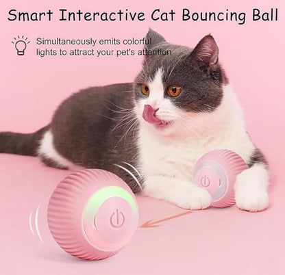 FurTastic Play Ball