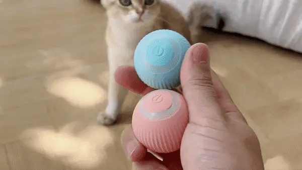 FurTastic Play Ball