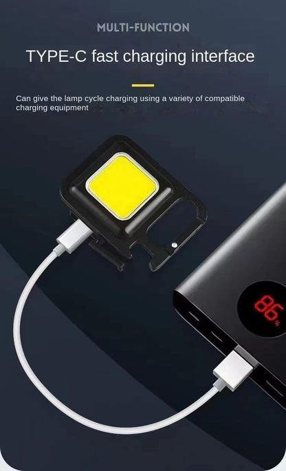 FlashPro Mini