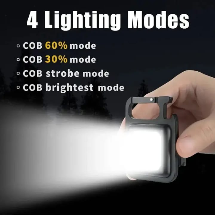 FlashPro Mini
