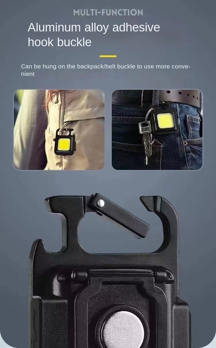 FlashPro Mini