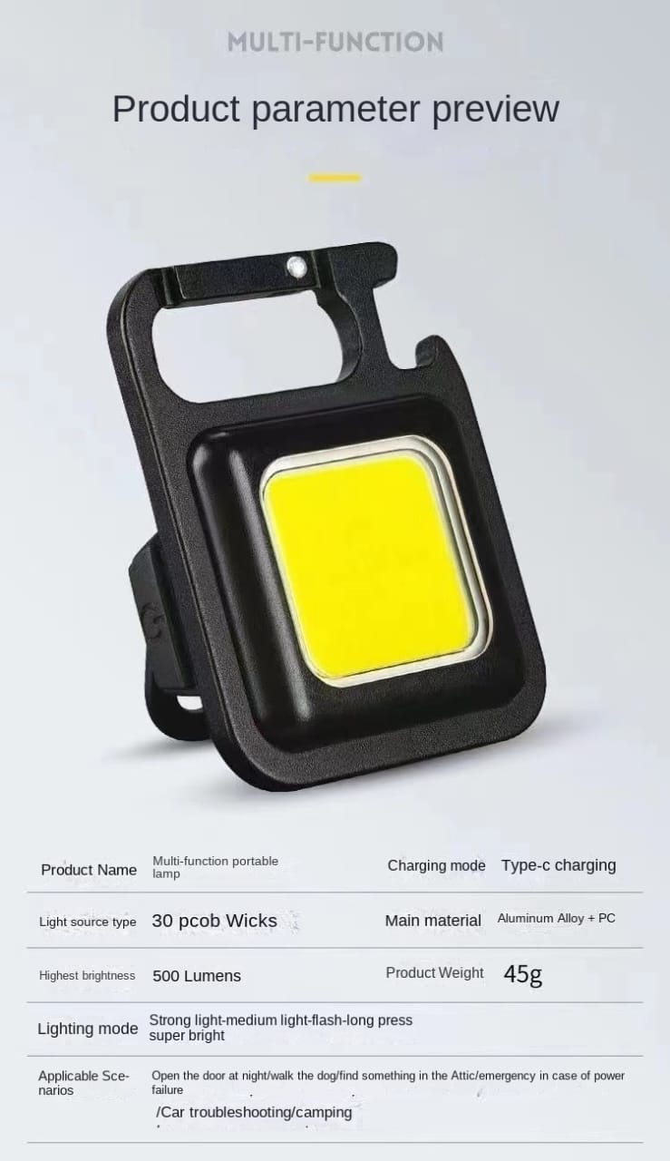 FlashPro Mini